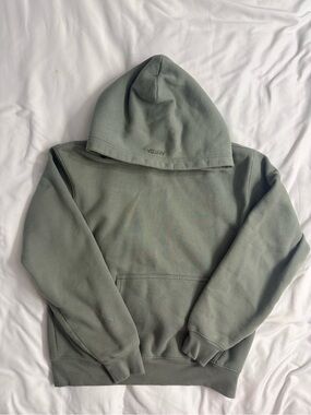 Aritzia Cozy Fleece Hoodie in Sage Green